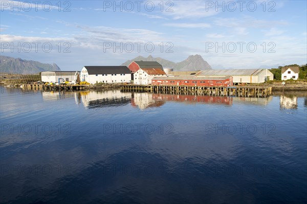 Fish processing buildings at Svolvaer, Lofoten Islands, Nordland, Norway, Europe