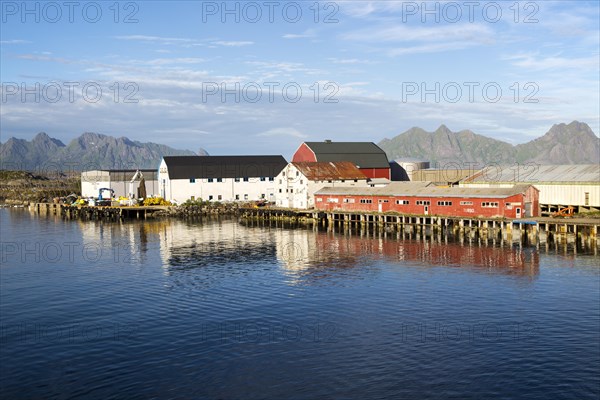 Fish processing buildings at Svolvaer, Lofoten Islands, Nordland, Norway, Europe