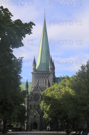 Early morning sunshine on historic cathedral spire, Nidaros Domkirke, Trondheim, Norway, Europe