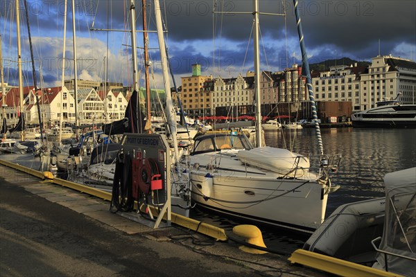 Sailing yachts and historic buildings evening light, Vagen harbour, Bergen, Norway, Europe