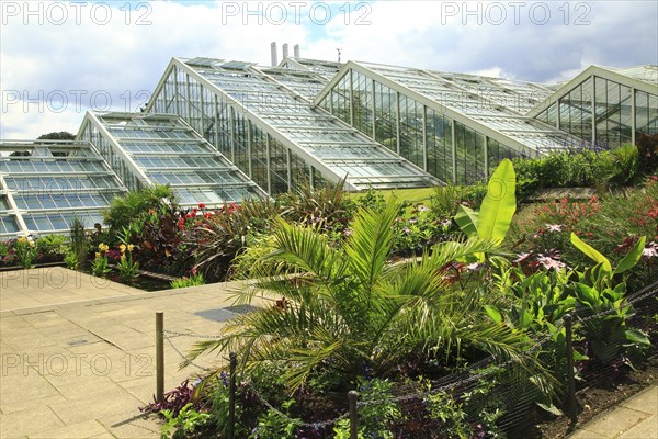 Princess of Wales conservatory glasshouses, Kew Gardens, Royal Botanic Gardens, London, England, UK