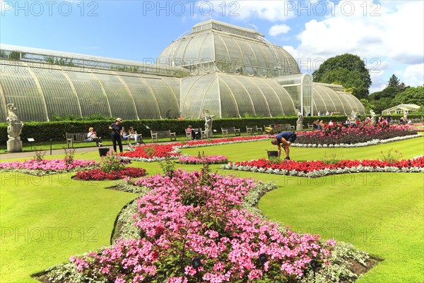 The Palm House at Royal Botanic Gardens, Kew, London, England, UK