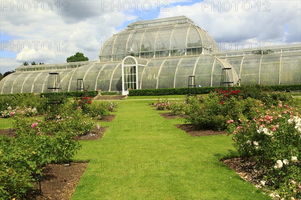 The Palm House at Royal Botanic Gardens, Kew, London, England, UK