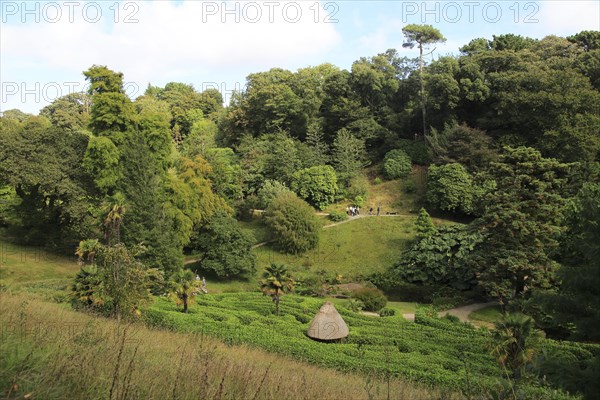 Maze in foreground at Glendurgan Garden, Cornwall, England, UK