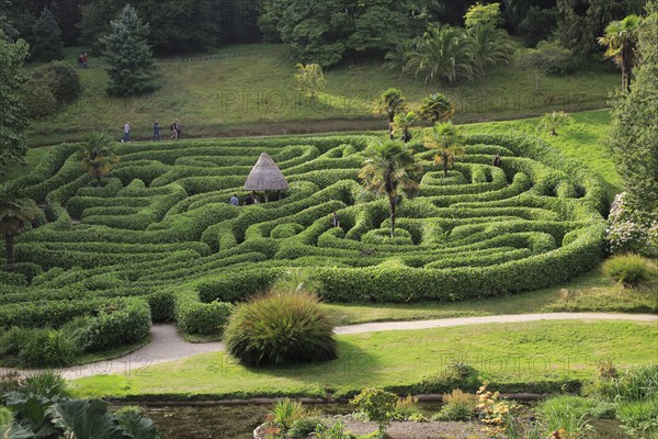People exploring the Maze at Glendurgan Garden, Cornwall, England, UK