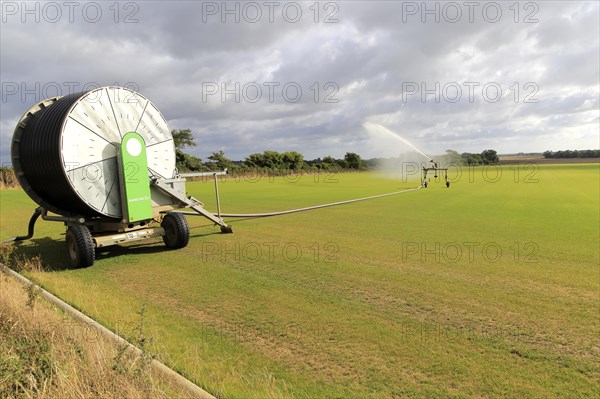 Rainstar irrigator crop sprayer field of grass turf, Alderton, Suffolk, England, UK