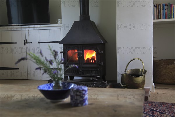 Domestic stove warm coal fire in domestic home, UK