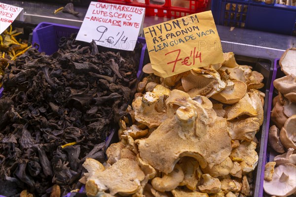 Food stall selling hydnum repandum mushrooms inside central market, Valencia, Spain, Europe