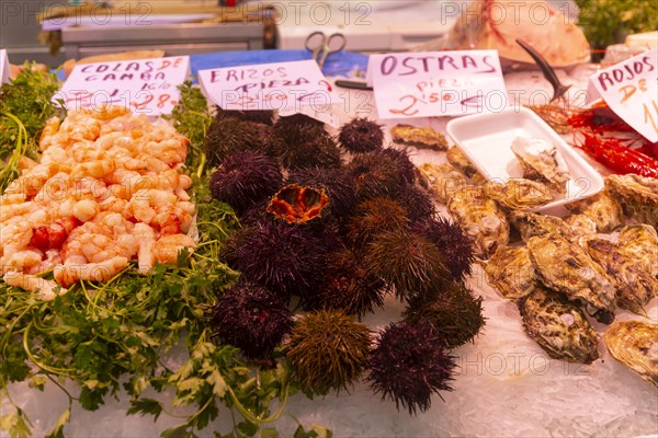 Food stall fishmonger selling fresh fish seafood, prawns, oysters, sea urchins, central market,