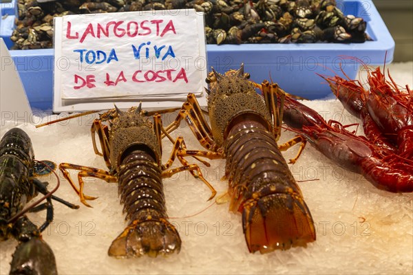 Food stall fishmonger selling fresh fish seafood langoustines, central market, Valencia, Spain,