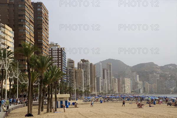 High rise apartment buildings and hotels seafront, Playa Levante sandy beach, Benidorm, Alicante