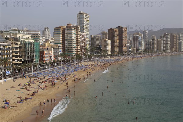 High rise apartment buildings and hotels seafront, Playa Levante sandy beach, Benidorm, Alicante