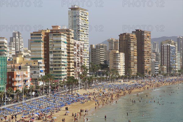 High rise apartment buildings and hotels seafront, Playa Levante sandy beach, Benidorm, Alicante