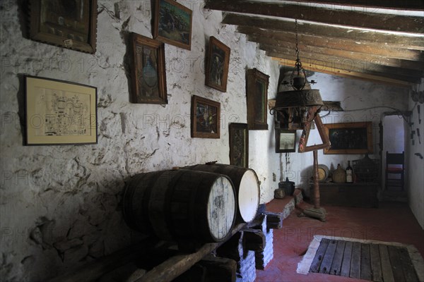 Bodega Museo Maserof restaurant vineyard, near Xalo or Jalon, Marina Alta, Alicante province,
