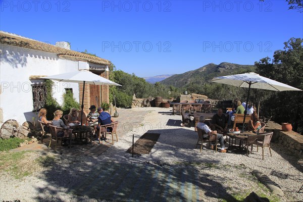 Bodega Museo Maserof restaurant vineyard, near Xalo or Jalon, Marina Alta, Alicante province,