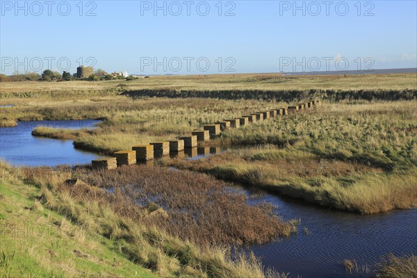 Pools of water between shingle beach and flood defence wall, Shingle Street, Suffolk, England, UK