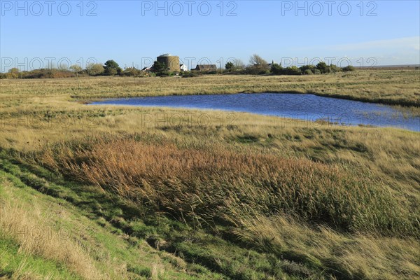 Pools of water between shingle beach and flood defence wall, Shingle Street, Suffolk, England, UK