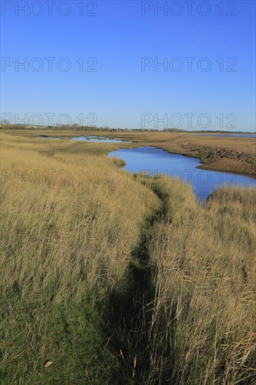 Pools of water behind shingle beach of River Ore, Orford Ness spit to the extreme right, near