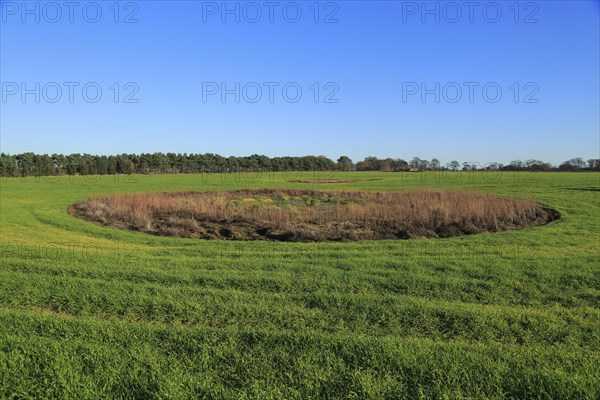Depression hollow in field, Shottisham Suffolk, England, UK