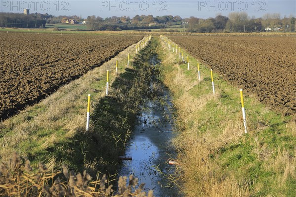 Arable fields and straight drainage ditch reclaimed marshland, Hollesley, Suffolk, England, United
