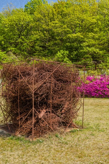 Artwork made of rusted barbed wire entitled Cloud by Jin Yea. Located at DMZ Unification Park in