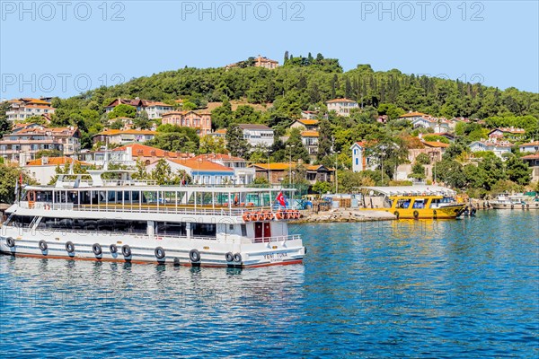 Tourist ferry docked at pier on Princess Island in Turkey. in Turkey