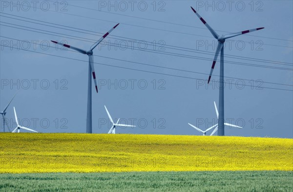 Wind farm with windmills and power lines, Nauen, 20/05/2022