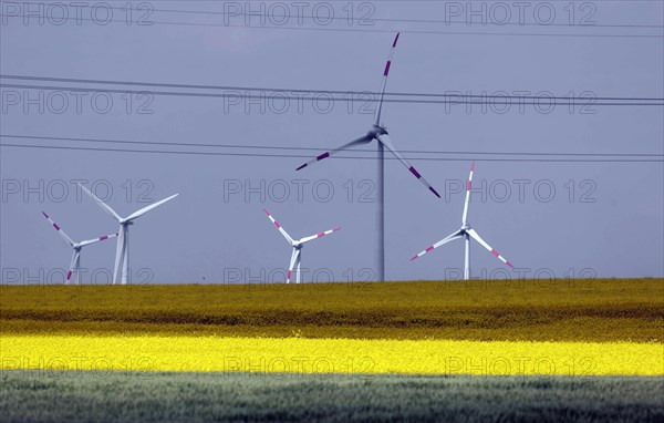Wind farm with windmills and power lines, Nauen, 20/05/2022