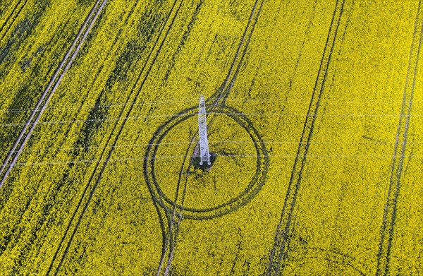 Aerial view of power line with power lines in a rapeseed field, Nauen, 20/05/2022