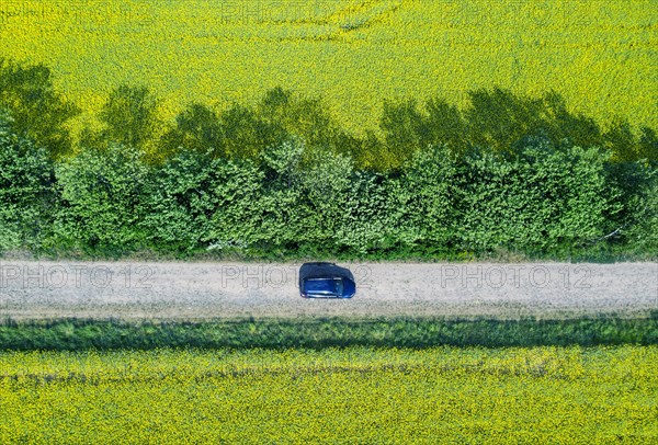 Aerial view of a car on a road in rape fields, Kremmen, 20/05/2022