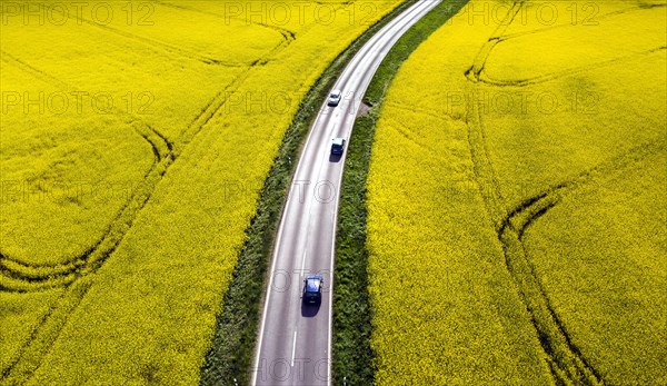 Road with cars next to rape fields, Nauen, 11.05.2022