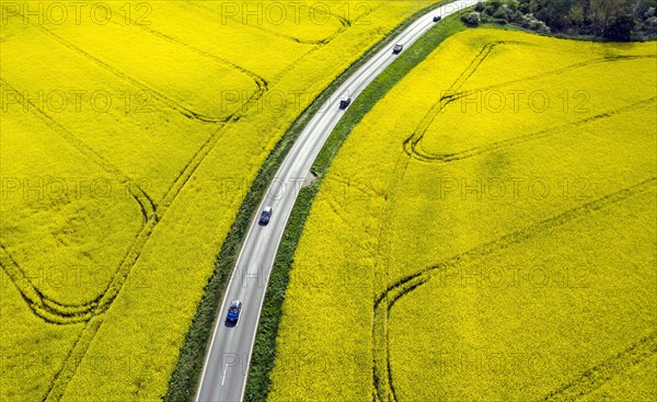 Road with cars next to rape fields, Nauen, 11.05.2022