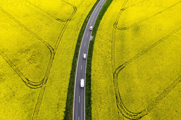 Road with cars next to rape fields, Nauen, 11.05.2022