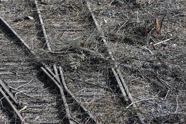Dortmund, 10.04.2022, Railway tracks in a disused marshalling yard