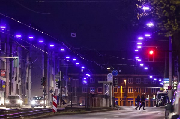 Modern LED lights developed for this project shine like blue pearls on a long string. The 'Blue