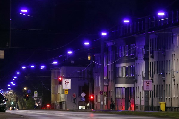 Modern LED lights developed for this project shine like blue pearls on a long string. The 'Blue