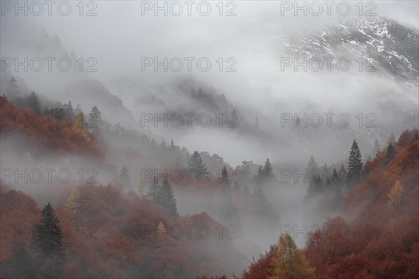 View of autumn colors in the Italian mountains, Valle Vigezzo Italy