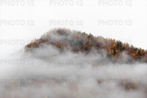 View of autumn colors in the Italian mountains, Valle Vigezzo Italy