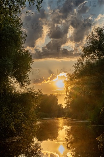 Canal, Danube Delta, Romania, Europe