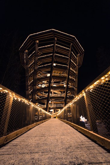 Night-time view of an illuminated wooden walkway and observation tower, Enchanting forest dwellers,