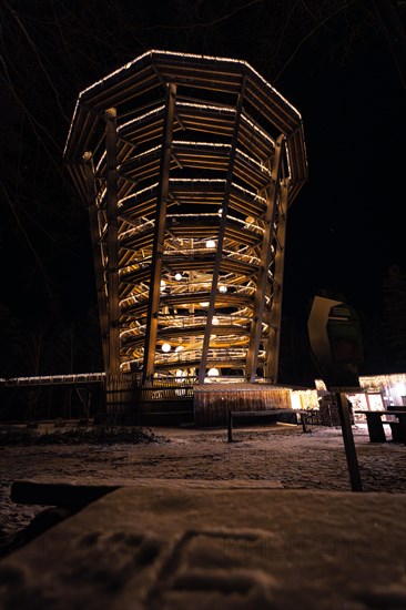 An observation tower illuminated at night from a low perspective, Enchanting forest dwellers,