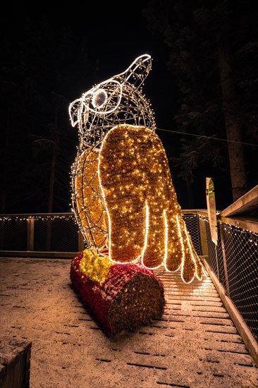 Nocturnal view of a glowing owl sculpture, enchanting forest dwellers, treetop walk Bad Wildbad,