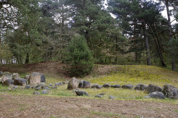 Parts of a Viking camp on the River Peene near Menzlin, Viking settlement known as the Old Camp,