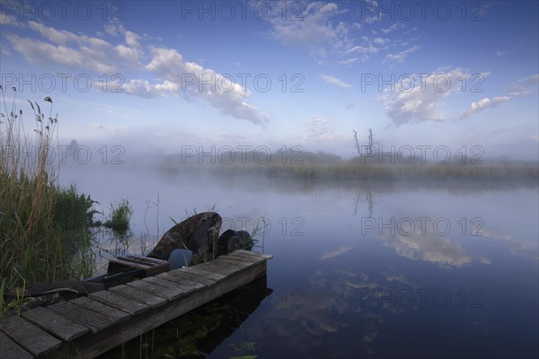 Foggy mood in the morning on the river Trebel, jetty, Flusslandschaft Peenetal nature park Park,