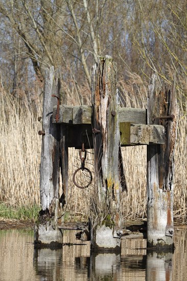 Dilapidated infrastructure on the River Trebel, dilapidated dolphin for mooring ships in the River