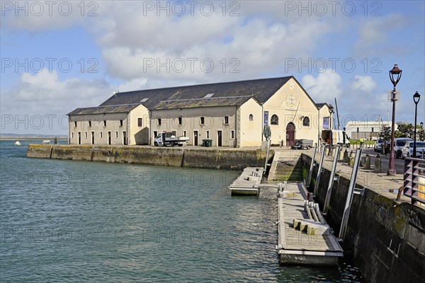 Harbour basin at the Old Fish Hall, Le Croisic, Loire-Atlantique, Pays de la Loire, France, Europe