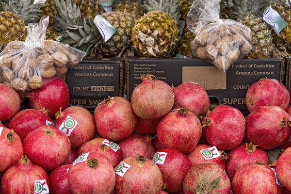 Pomegranates from Italy on offer, fruit, market stall, folk festival Kalter Markt, Kaale Määrt,