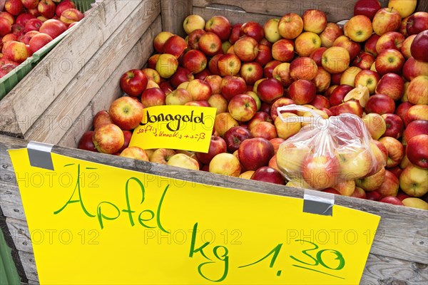 Apples on offer, apple tree (Malus domestica), fruit, market stall, folk festival Kalter Markt,