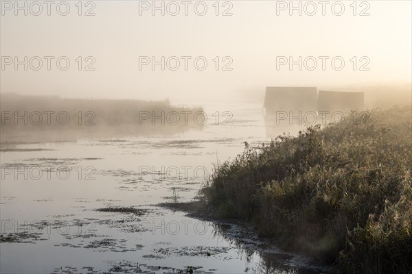 Foggy atmosphere at Federsee lake