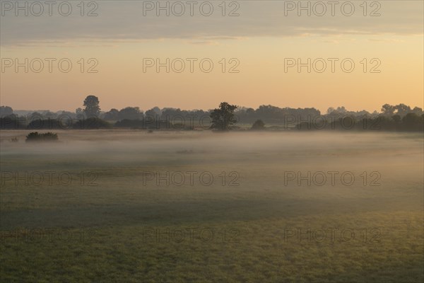 Morning atmosphere Donaumoos